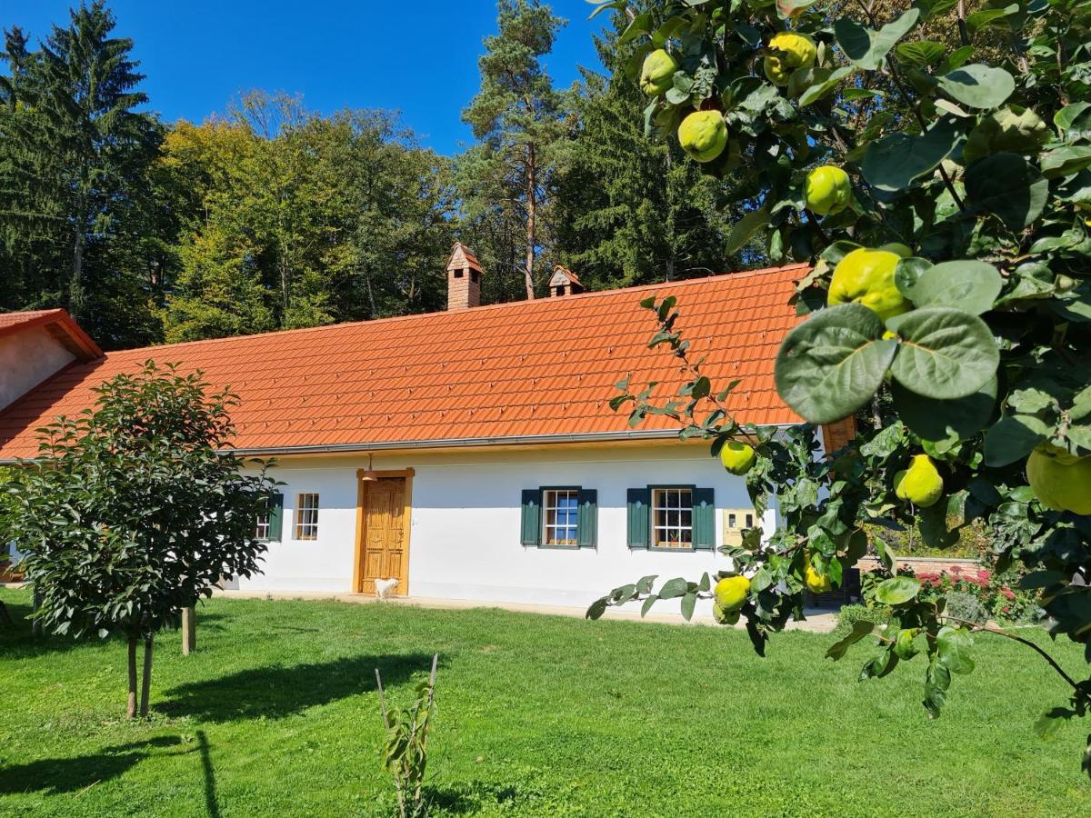 Turisticna Kmetija Hisa Ob Gozdu Pri Ptuju Villa Exterior photo