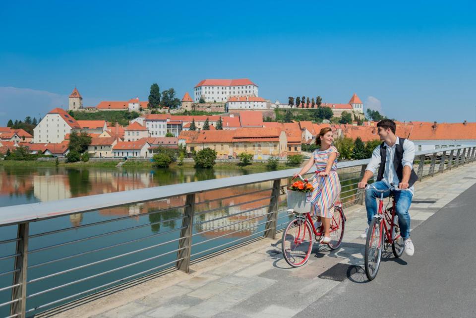 Turisticna Kmetija Hisa Ob Gozdu Pri Ptuju Villa Exterior photo