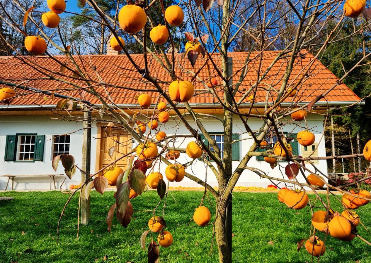 Turisticna Kmetija Hisa Ob Gozdu Pri Ptuju Villa Exterior photo