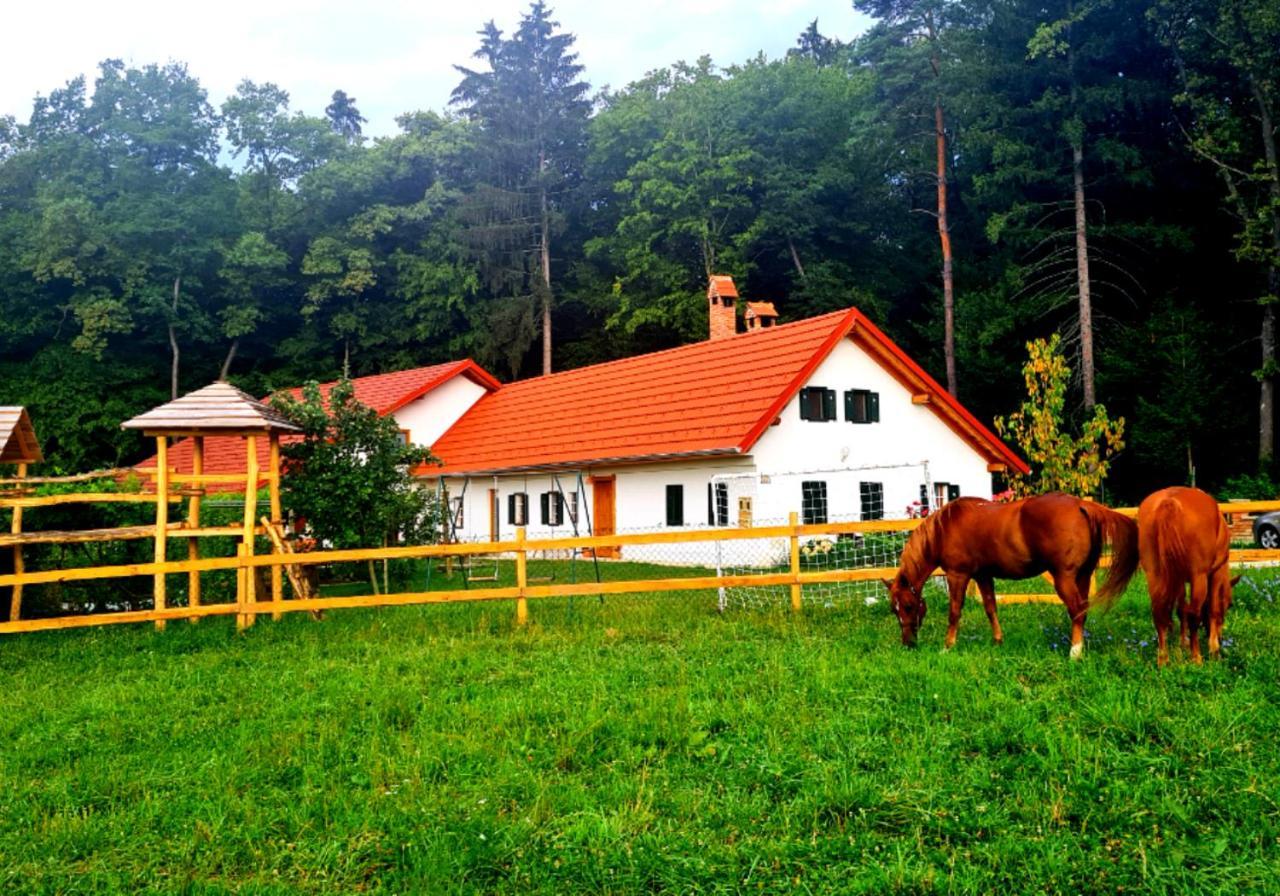 Turisticna Kmetija Hisa Ob Gozdu Pri Ptuju Villa Exterior photo