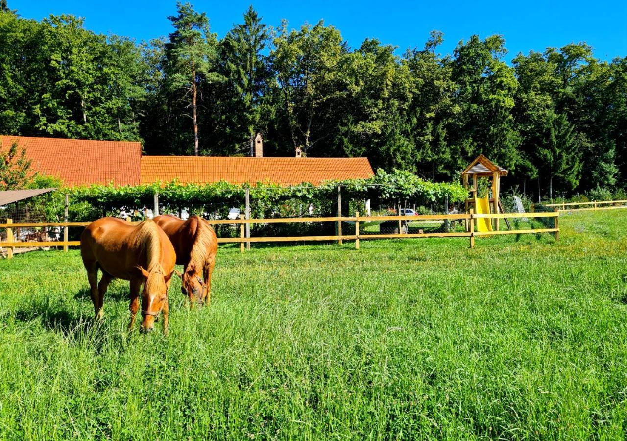 Turisticna Kmetija Hisa Ob Gozdu Pri Ptuju Villa Exterior photo